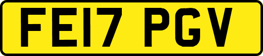 FE17PGV