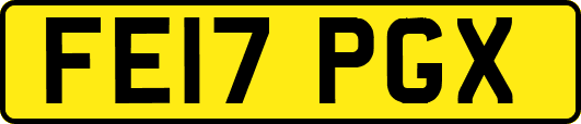FE17PGX
