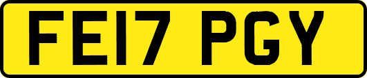 FE17PGY