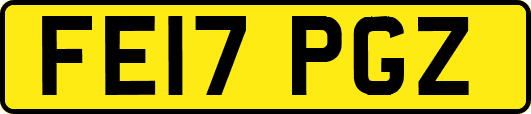 FE17PGZ