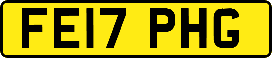 FE17PHG