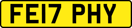 FE17PHY
