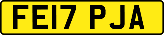 FE17PJA