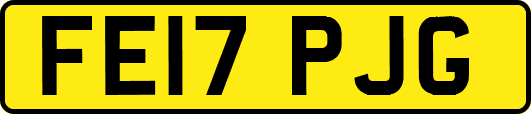 FE17PJG