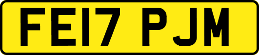 FE17PJM