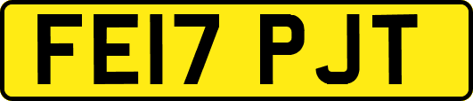 FE17PJT