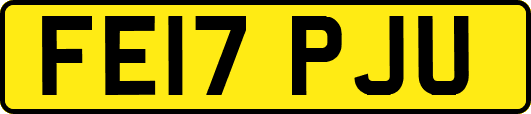 FE17PJU