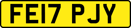 FE17PJY