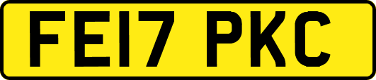 FE17PKC