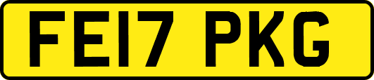 FE17PKG