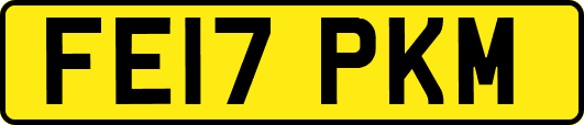 FE17PKM