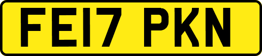 FE17PKN