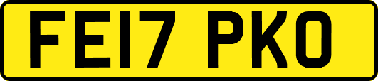 FE17PKO