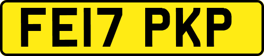 FE17PKP