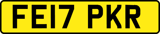 FE17PKR