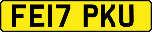 FE17PKU