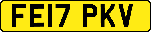 FE17PKV