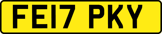 FE17PKY