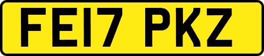 FE17PKZ