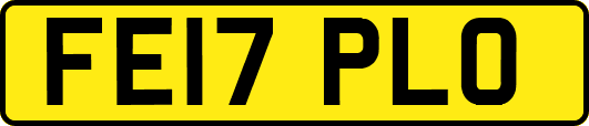 FE17PLO