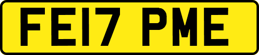 FE17PME