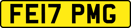 FE17PMG