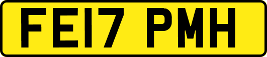 FE17PMH