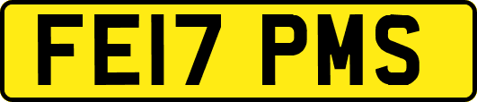 FE17PMS