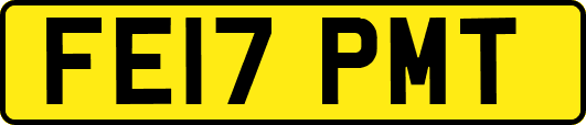 FE17PMT