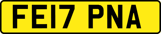FE17PNA