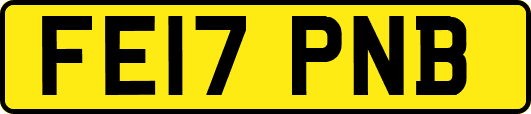 FE17PNB