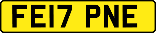 FE17PNE