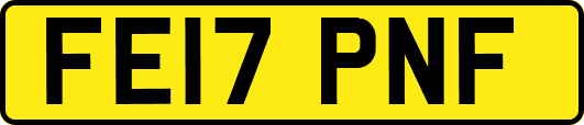 FE17PNF
