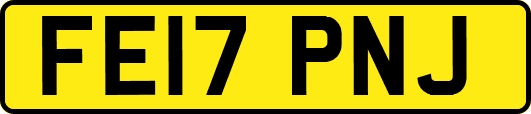 FE17PNJ