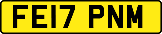 FE17PNM