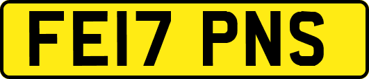 FE17PNS