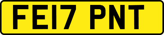 FE17PNT