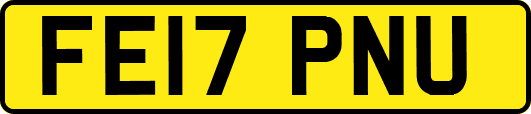 FE17PNU