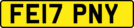 FE17PNY
