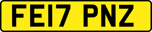 FE17PNZ