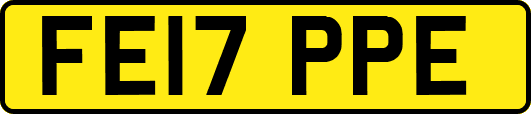 FE17PPE