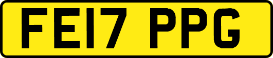 FE17PPG