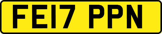 FE17PPN
