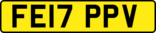 FE17PPV
