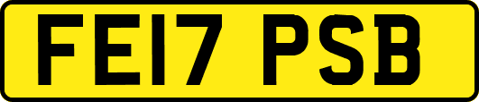 FE17PSB
