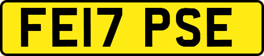 FE17PSE