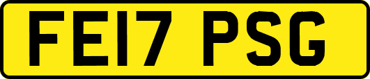 FE17PSG