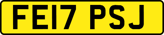 FE17PSJ