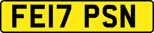 FE17PSN