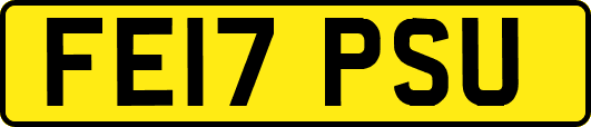 FE17PSU